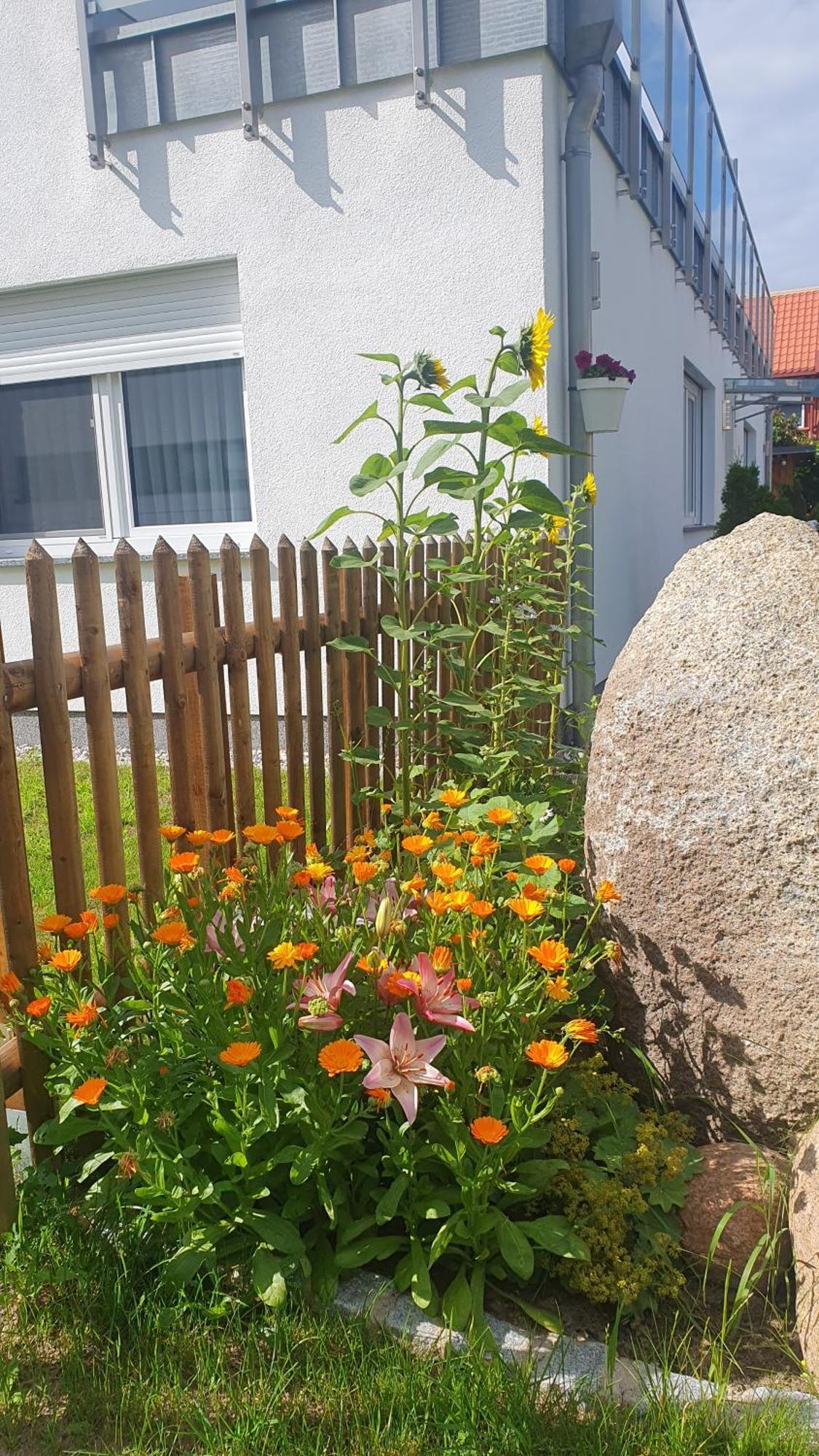 Ferienwohnungen "Godewind", Appartements Mit Balkon Oder Terrasse Zinnowitz Exteriér fotografie