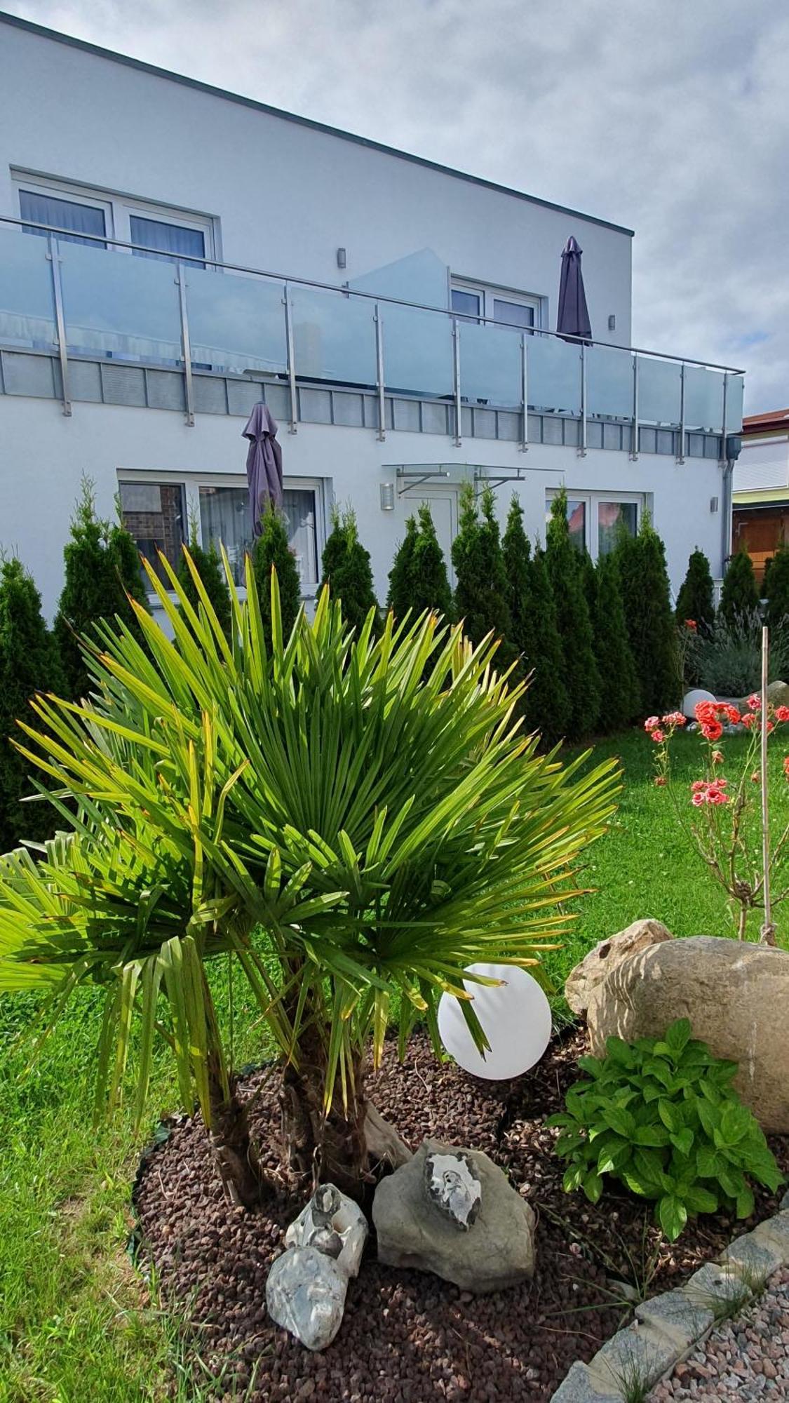 Ferienwohnungen "Godewind", Appartements Mit Balkon Oder Terrasse Zinnowitz Exteriér fotografie